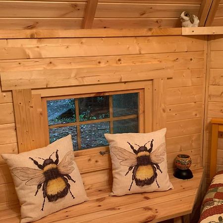 Starry Meadow & Rescued Animal Experiences Great Yarmouth Quarto foto