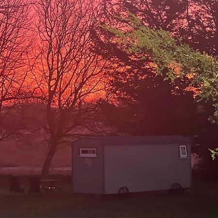 Starry Meadow & Rescued Animal Experiences Great Yarmouth Exterior foto