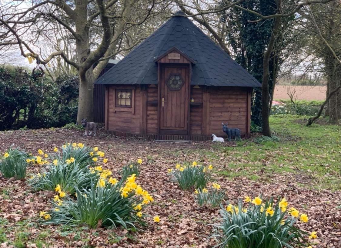 Starry Meadow & Rescued Animal Experiences Great Yarmouth Exterior foto