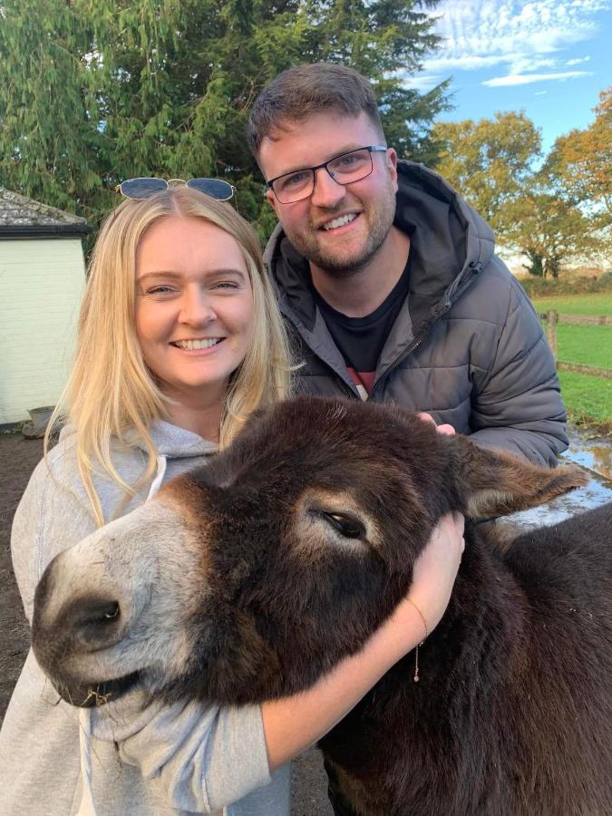 Starry Meadow & Rescued Animal Experiences Great Yarmouth Exterior foto