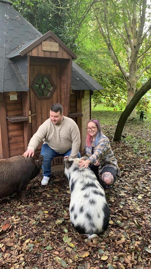 Starry Meadow & Rescued Animal Experiences Great Yarmouth Exterior foto