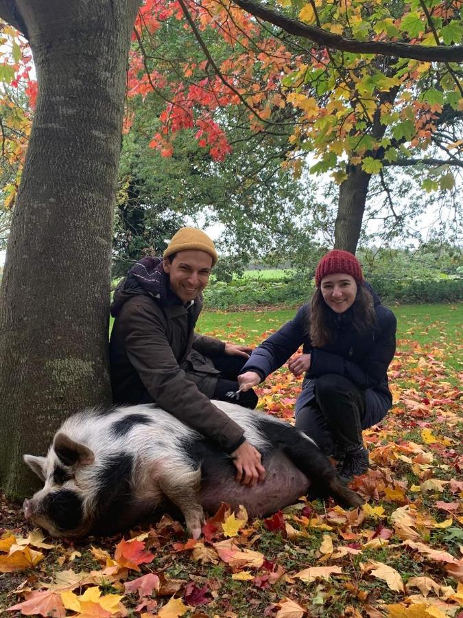 Starry Meadow & Rescued Animal Experiences Great Yarmouth Exterior foto