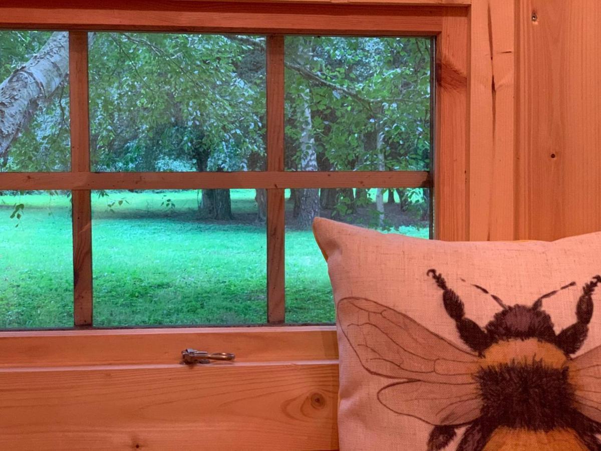 Starry Meadow & Rescued Animal Experiences Great Yarmouth Exterior foto