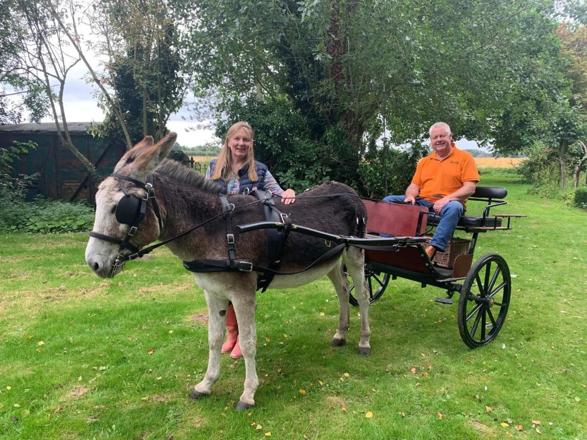 Starry Meadow & Rescued Animal Experiences Great Yarmouth Exterior foto