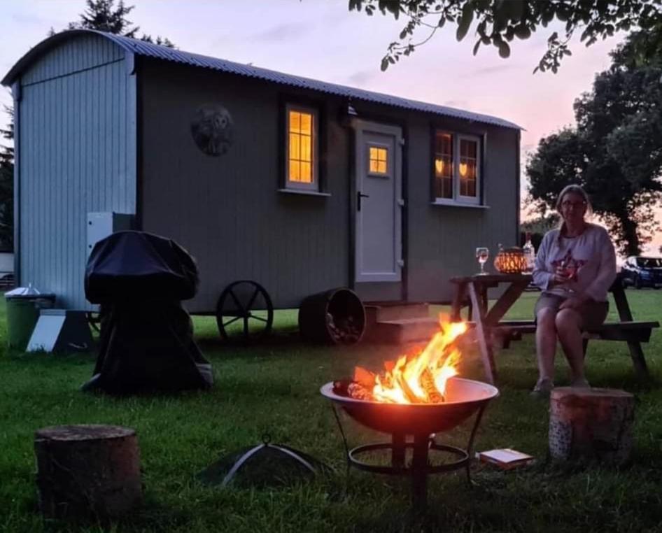 Starry Meadow & Rescued Animal Experiences Great Yarmouth Exterior foto