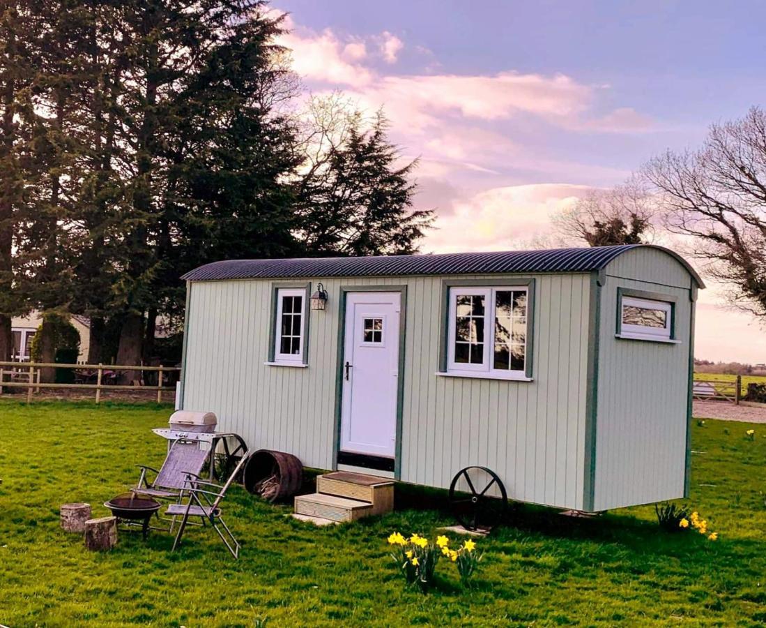 Starry Meadow & Rescued Animal Experiences Great Yarmouth Exterior foto