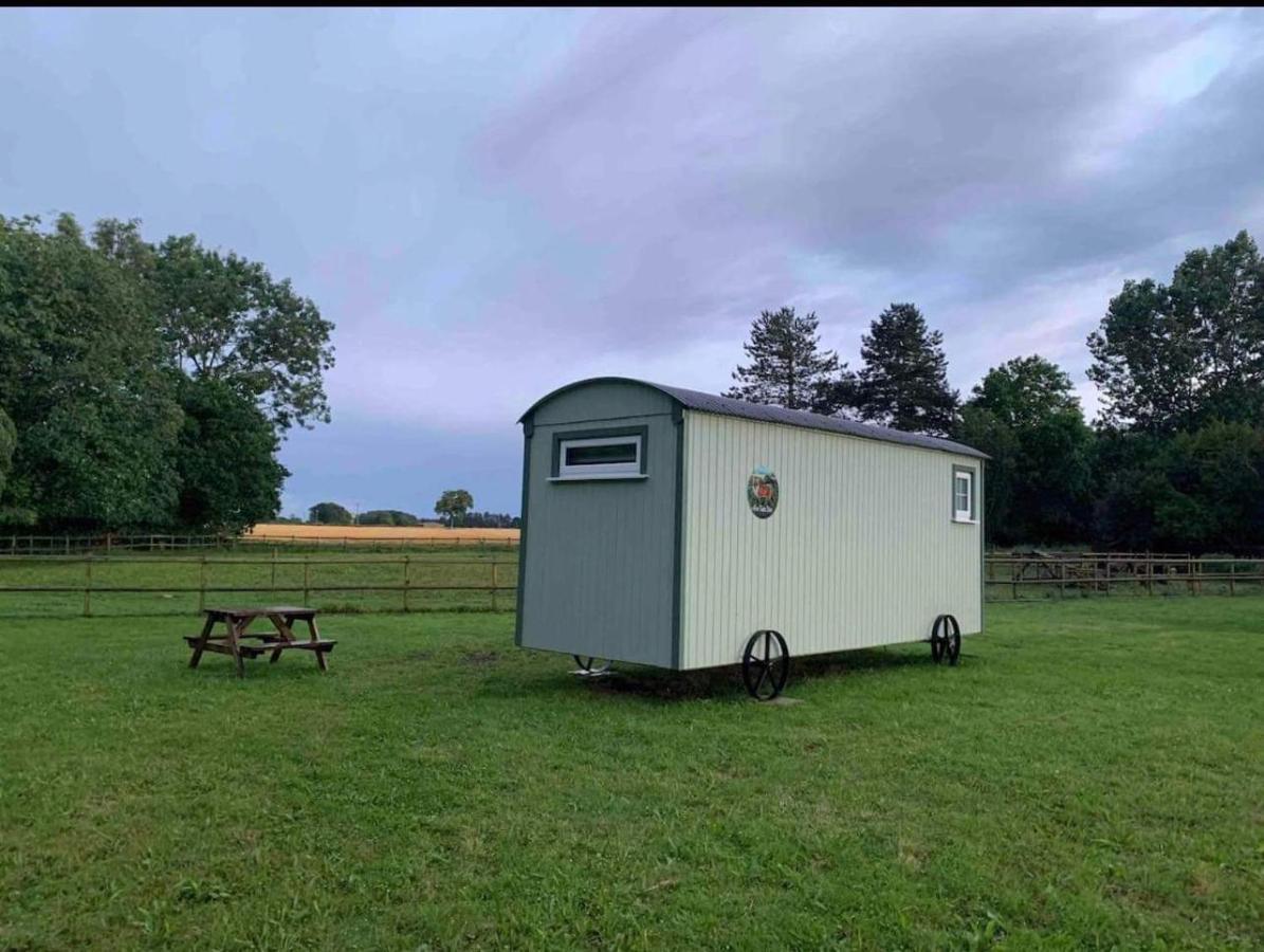 Starry Meadow & Rescued Animal Experiences Great Yarmouth Exterior foto