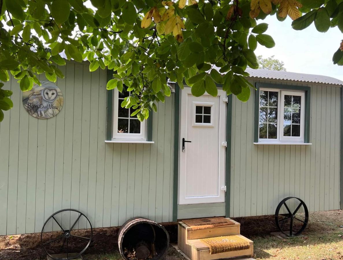 Starry Meadow & Rescued Animal Experiences Great Yarmouth Quarto foto