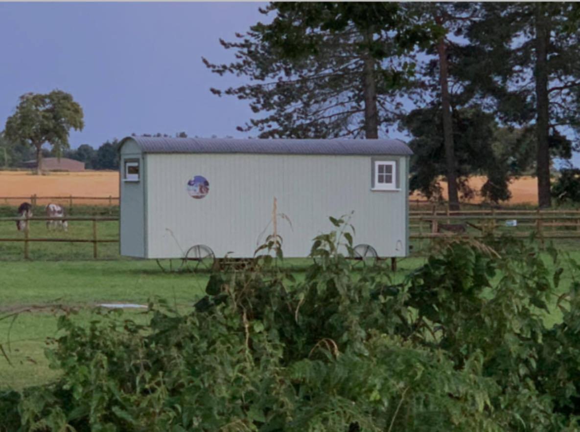 Starry Meadow & Rescued Animal Experiences Great Yarmouth Exterior foto