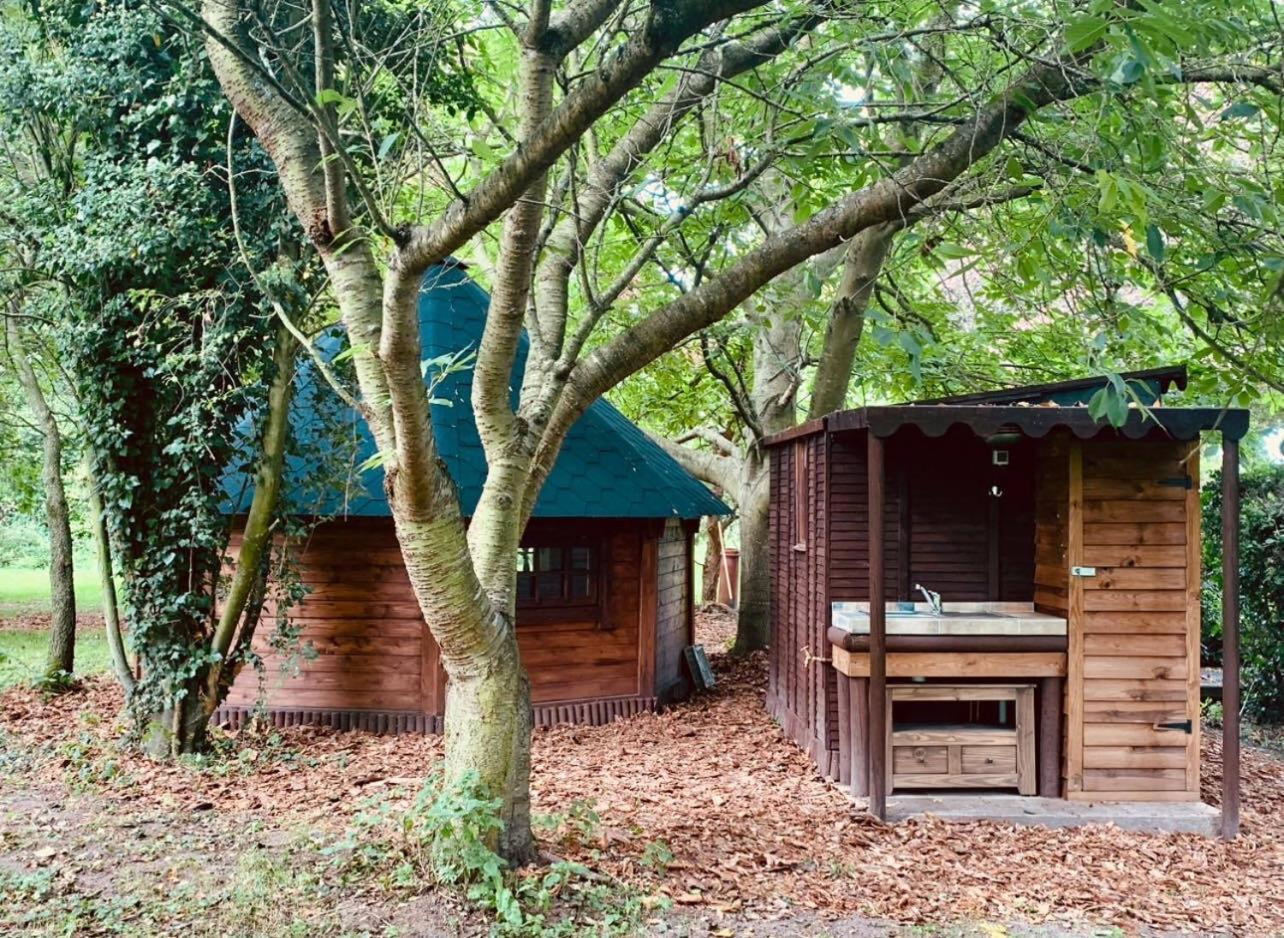 Starry Meadow & Rescued Animal Experiences Great Yarmouth Exterior foto