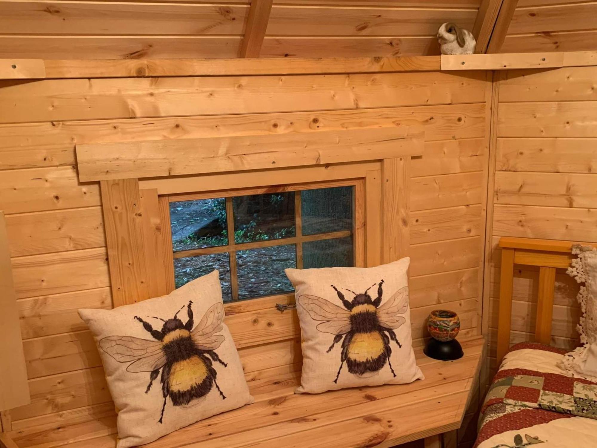 Starry Meadow & Rescued Animal Experiences Great Yarmouth Quarto foto