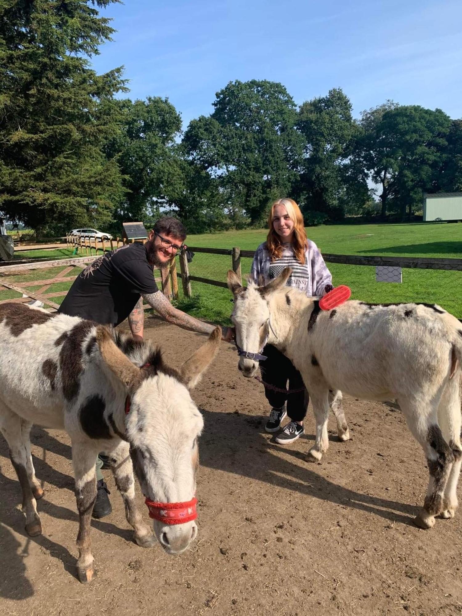 Starry Meadow & Rescued Animal Experiences Great Yarmouth Quarto foto
