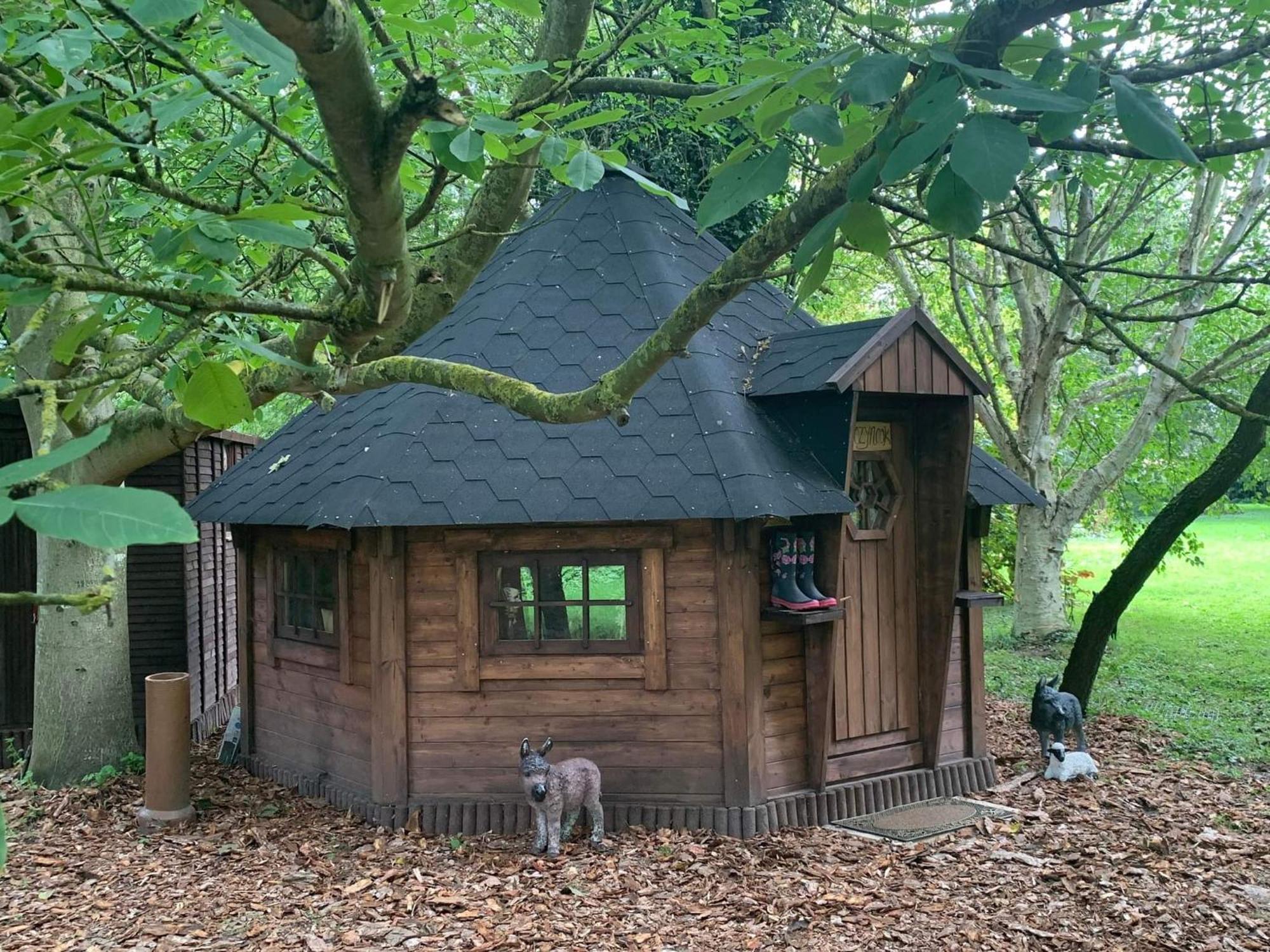 Starry Meadow & Rescued Animal Experiences Great Yarmouth Quarto foto
