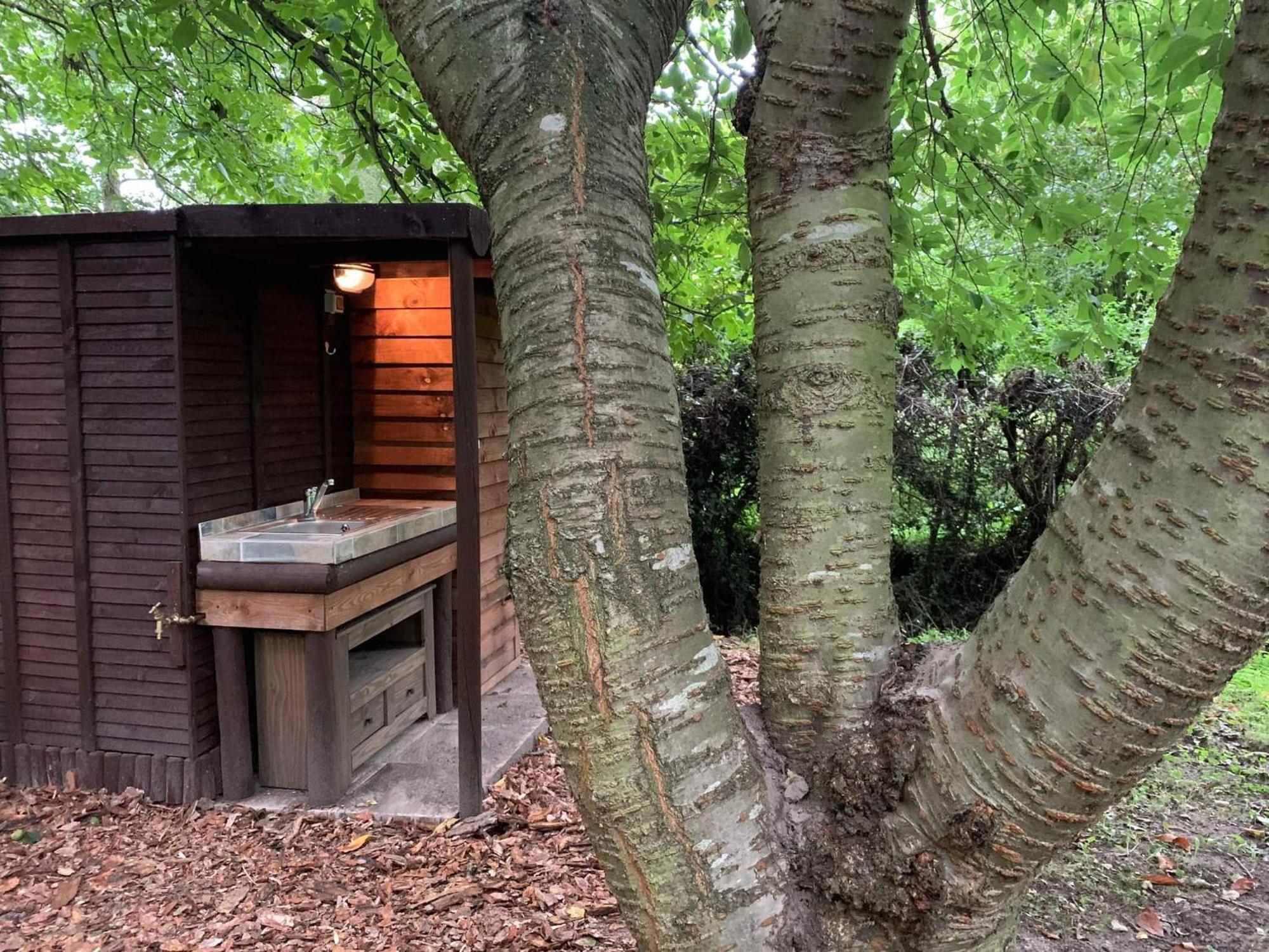 Starry Meadow & Rescued Animal Experiences Great Yarmouth Quarto foto