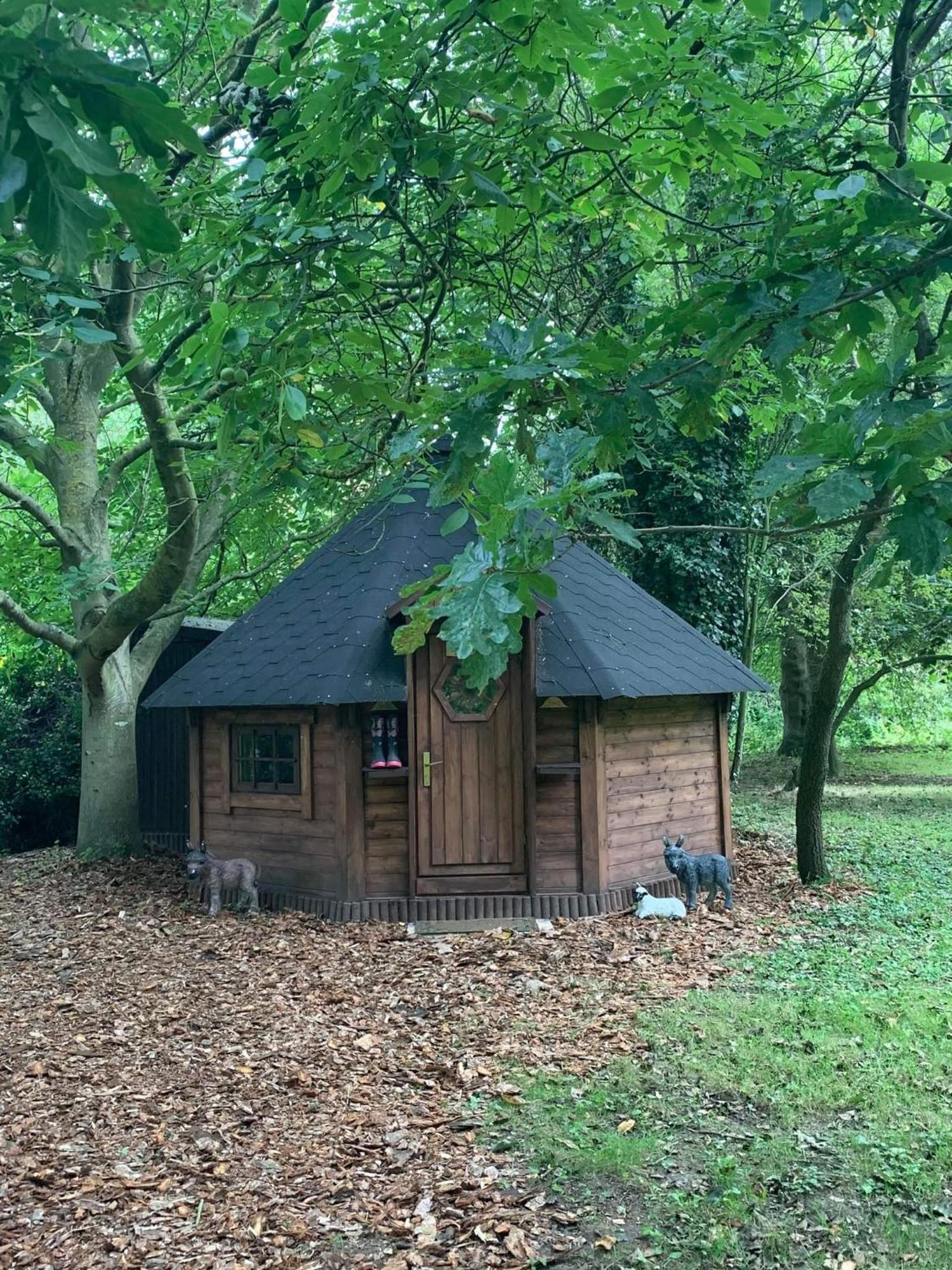 Starry Meadow & Rescued Animal Experiences Great Yarmouth Quarto foto