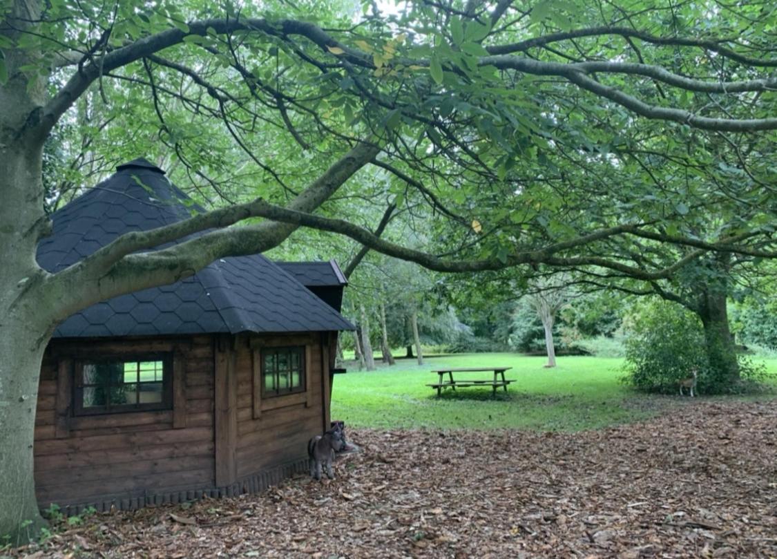Starry Meadow & Rescued Animal Experiences Great Yarmouth Exterior foto